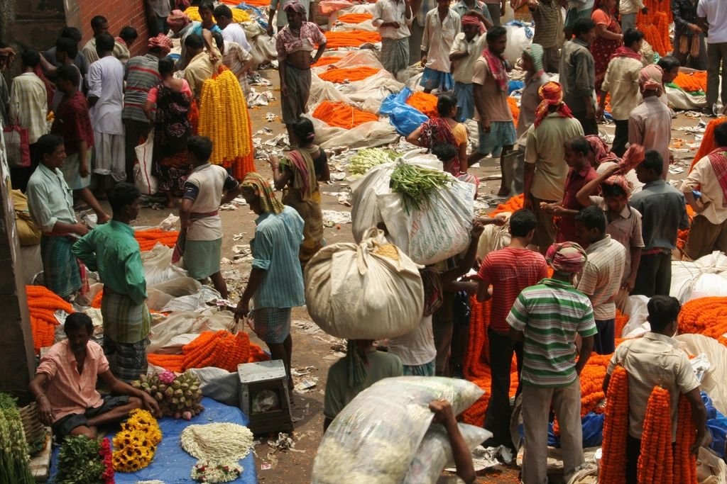देवरिया: सलेमपुर के बैंक खाते में डेढ़ महीने में 1.16 करोड़ का संदिग्ध लेनदेन, म्यूल अकाउंट का खुलासा